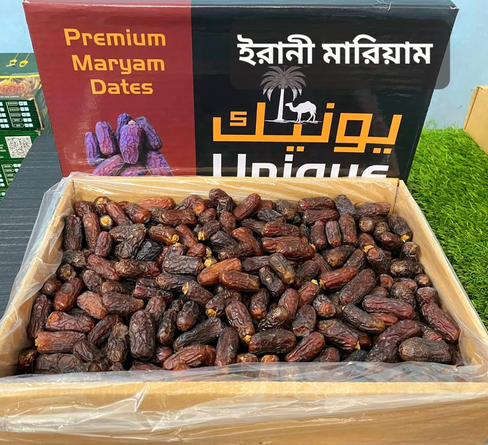 ইরানি মারিয়াম