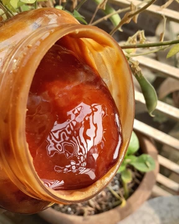 খেজুরের দানা গুড়
