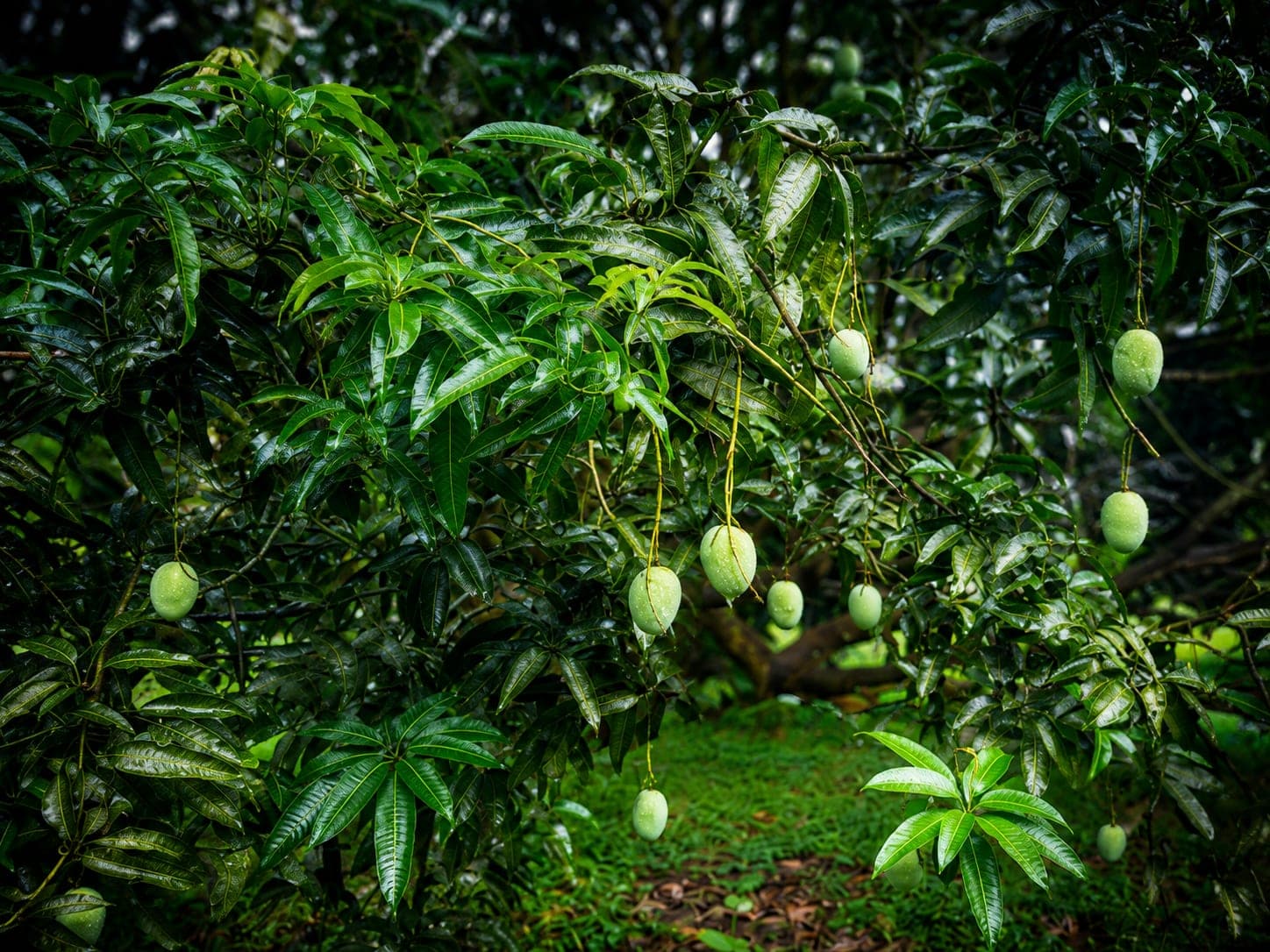 প্রোমো ব্যানার 2