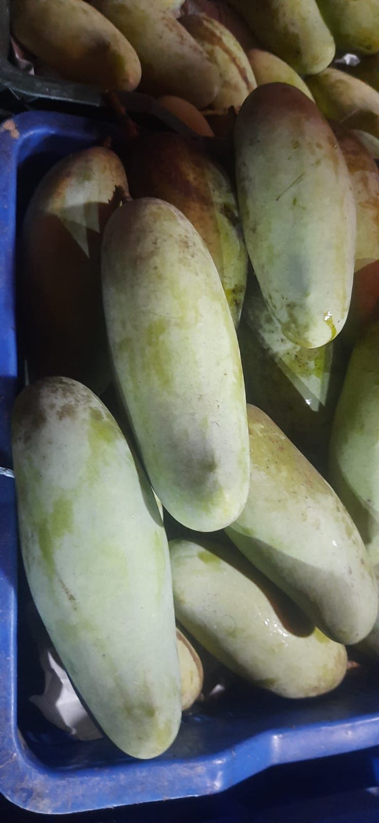 ব্যানানা ম্যাঙ্গো