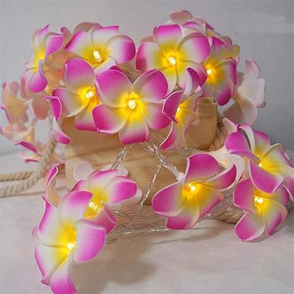 Create Serene Spaces with Plumeria Flower Fairy Lights-প্লুমেরিয়া ফ্লাওয়ার ফেয়ারি লাইট